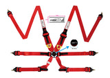 6 Point Racing Harness Endurance Style FIA Certified Belts